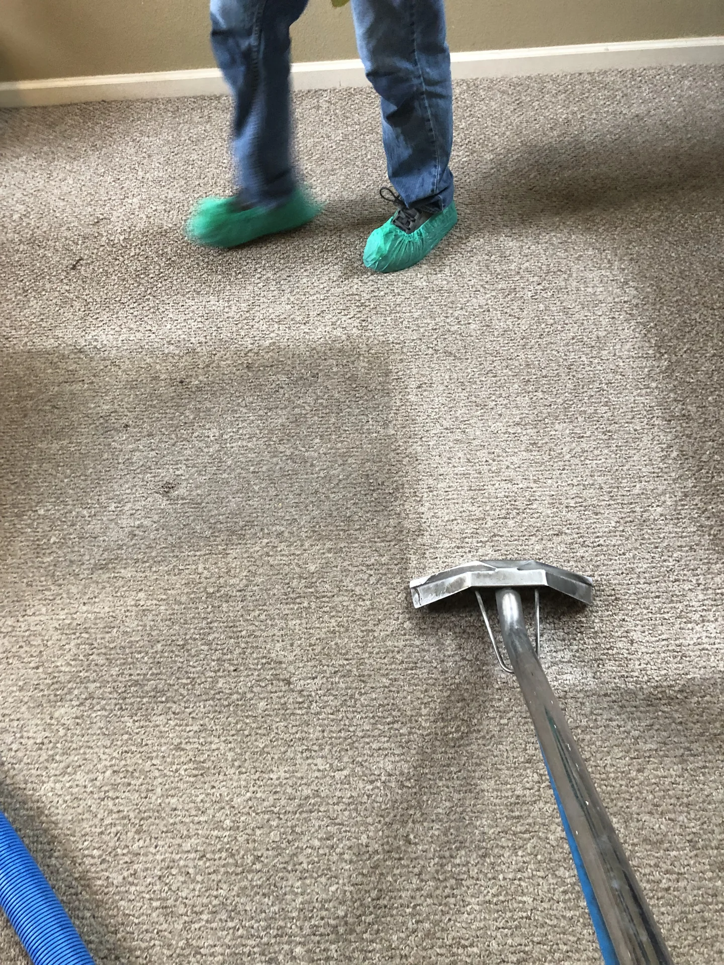 Carpet extraction with technician visible