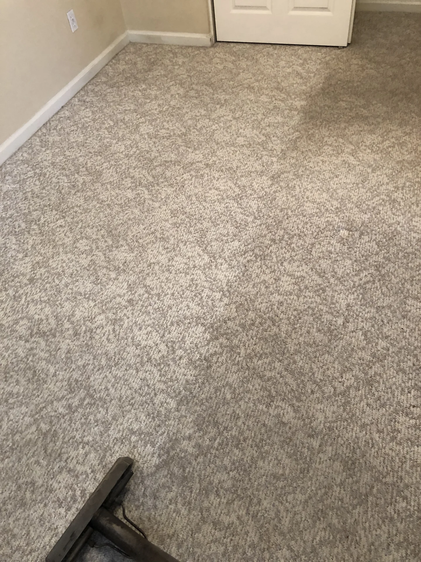 Carpet with visible cleaning contrast