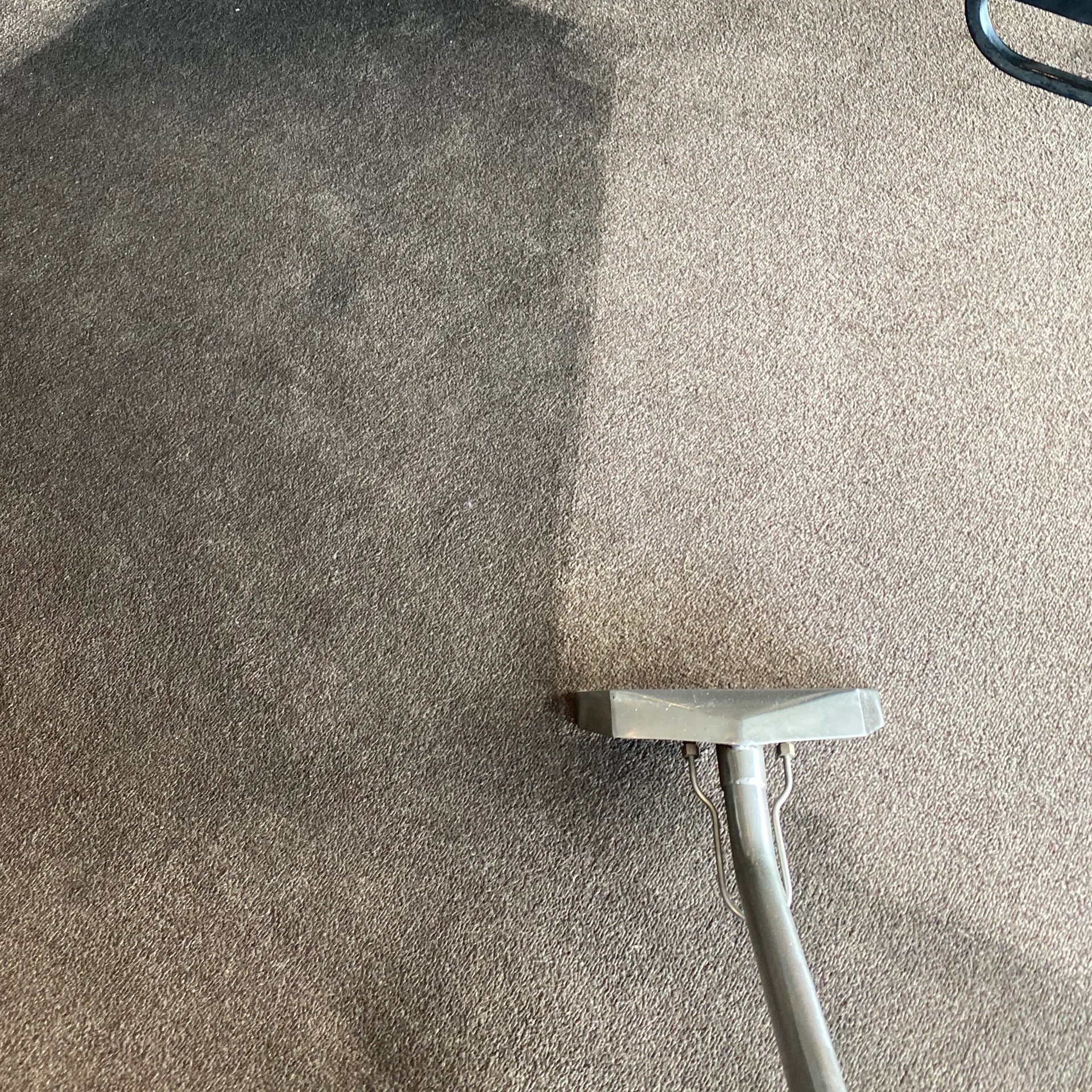 Carpet extraction with a visibly cleaned lane on a Grasso job