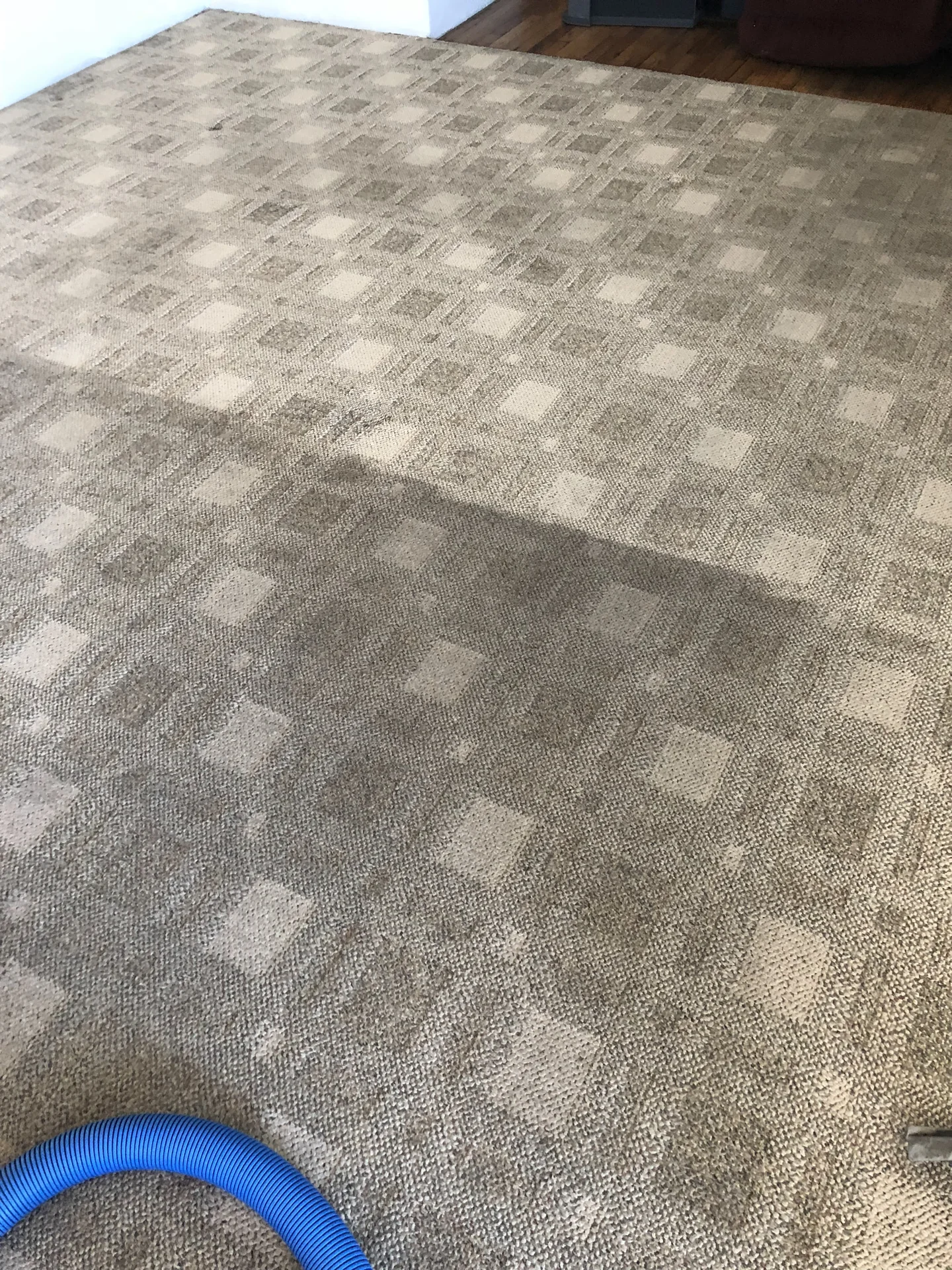Commercial carpet cleaning in progress