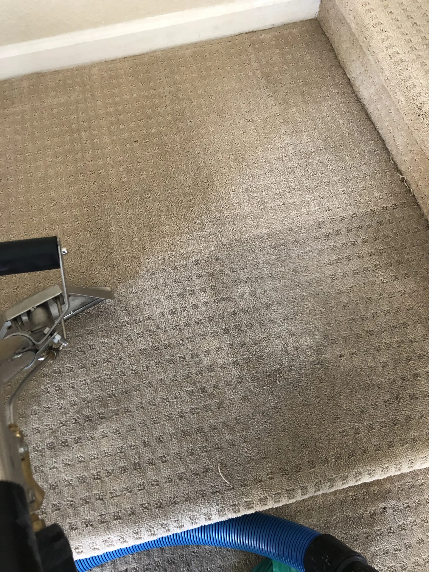 Carpet extraction with visible cleaning contrast