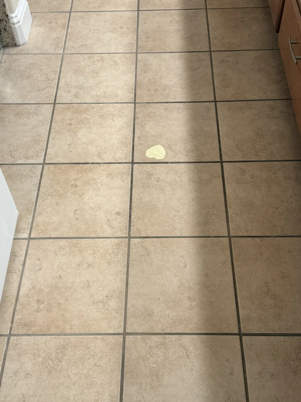 Before: dark grout lines on the bathroom ceramic tile floor