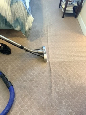 Close view of carpet extraction and visible cleaning contrast